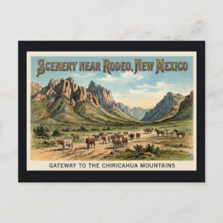 Rodeo, New Mexico - Cattle Drive Vintage Postcard