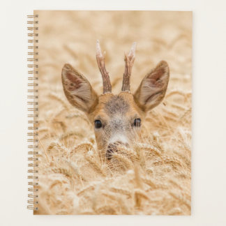 Roe Buck in Golden Wheat Wildlife Planner