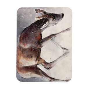 Roe Buck Winter 2000 Magnet