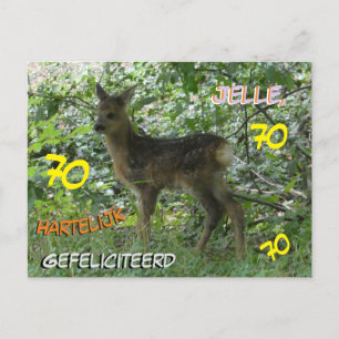 Roe Deer à Forrest Cust. Carte postale 70e anniver