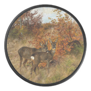 Roe Deer aux feuilles d'automne Faune Vintage