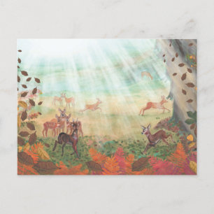 Roe Deer Capreolus capreolus in Forest Sunlight Postcard