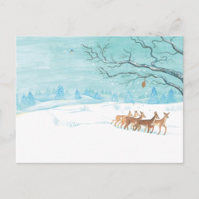 Roe Deer Group in Winter Postcard (Front)