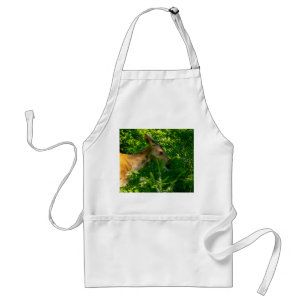 Roe deer in the forest. standard apron