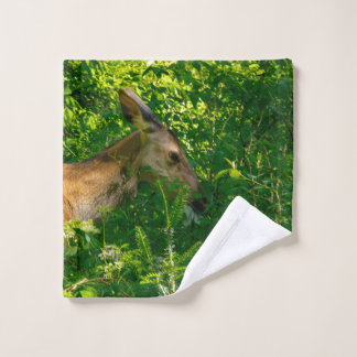 Roe deer in the forest. wash cloth