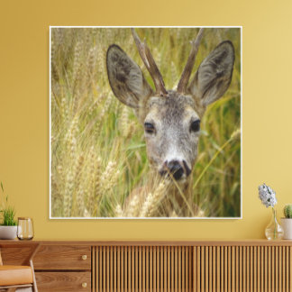 Roe Deer in Wheat Field- Nature Photography Print