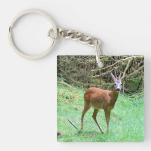 Roe Deer Stag Posing Keychain