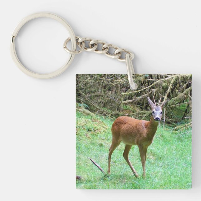 Roe Deer Stag Posing Keychain (Front)