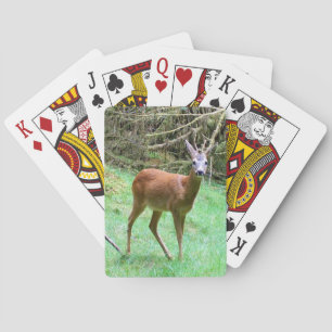 Roe Deer Stag Posing Playing Cards