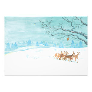Roe deer Winter  Photo Print