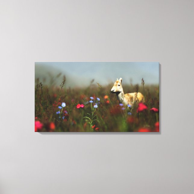 Roe in a Meadow Canvas Print (Front)