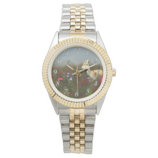 Roe in a Meadow Watch
