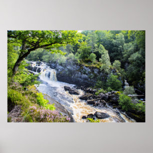 Rogie Falls, Scotland Poster