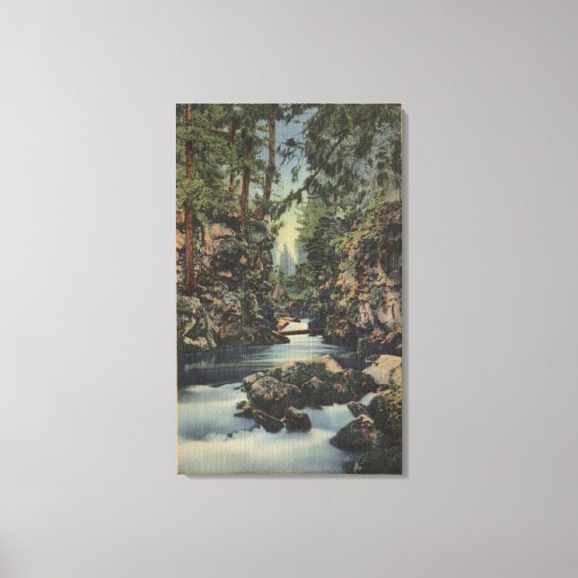 Rogue River, Oregon - Upper Gorge View of River Canvas Print (Front)