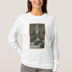 Rogue River, Oregon - Upper Gorge View of River T-Shirt