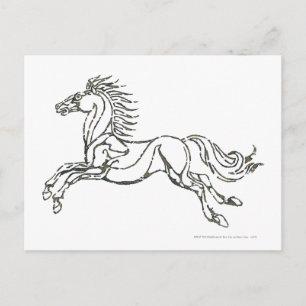 Rohan Symbol Postcard