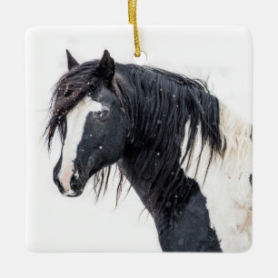 "Roi d'hiver" Ornement de Washakie