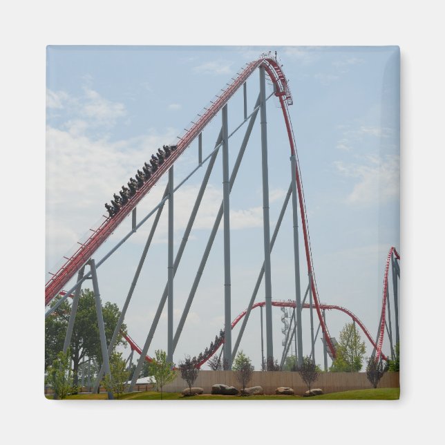 roiller coaster magnet (Front)