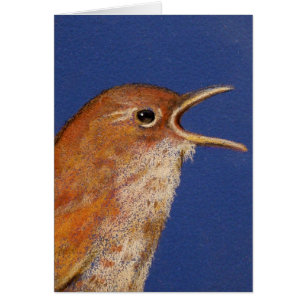ROITELET DE CHANT