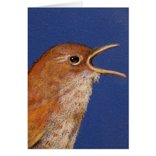 ROITELET DE CHANT (Devant)