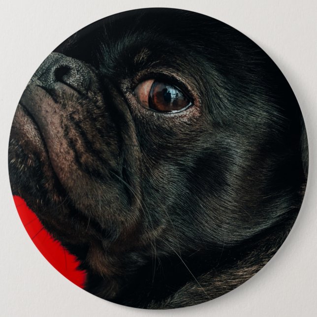 rojo dog 6 inch round button (Front)