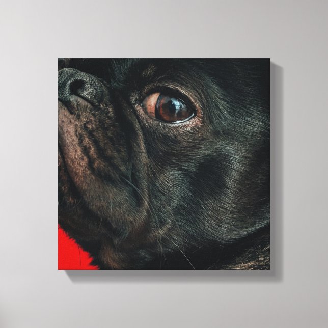 rojo dog canvas print (Front)