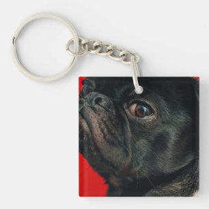rojo dog keychain