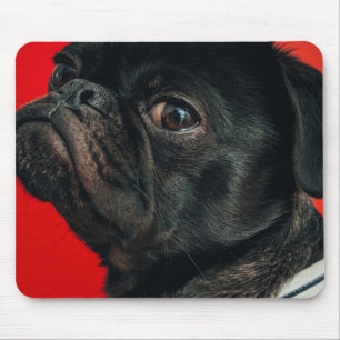 rojo dog mouse pad