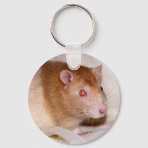 Rolando Keyring