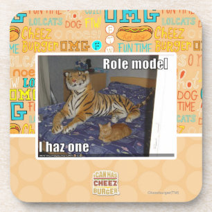 Role Model, I haz one Coaster