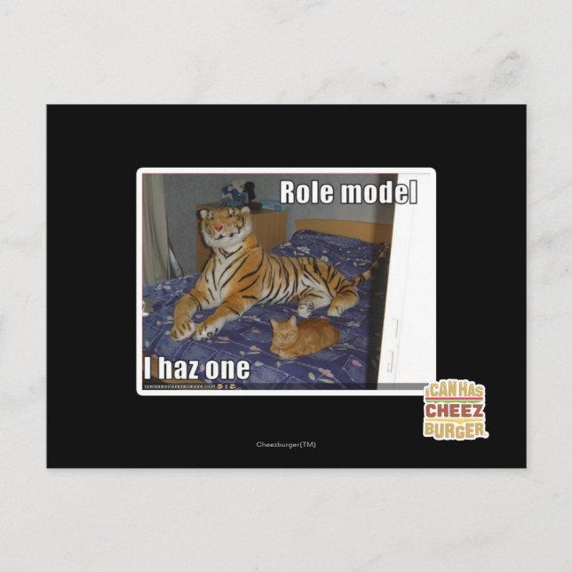 Role Model, I haz one Postcard (Front)