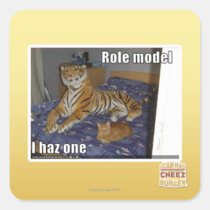 Role Model, I haz one Square Sticker