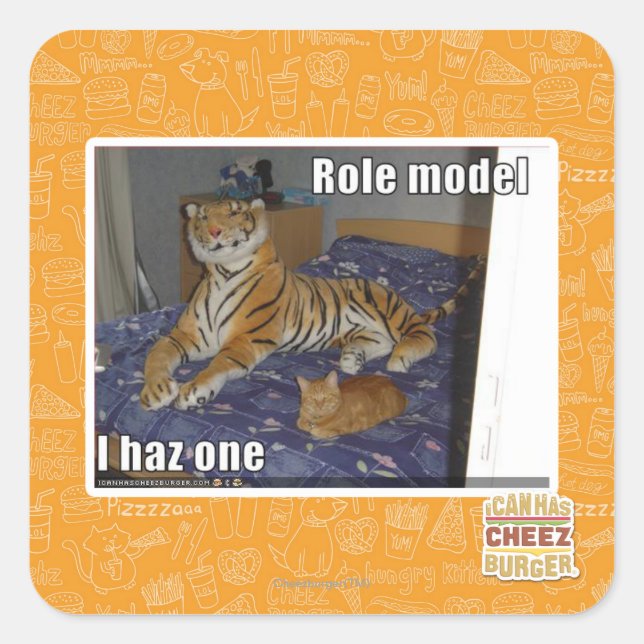 Role Model, I haz one Square Sticker (Front)