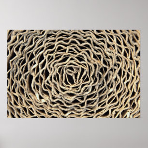 Roll of corrugated paper poster