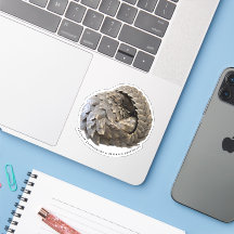 Rolled Pangolin PCRF Sticker