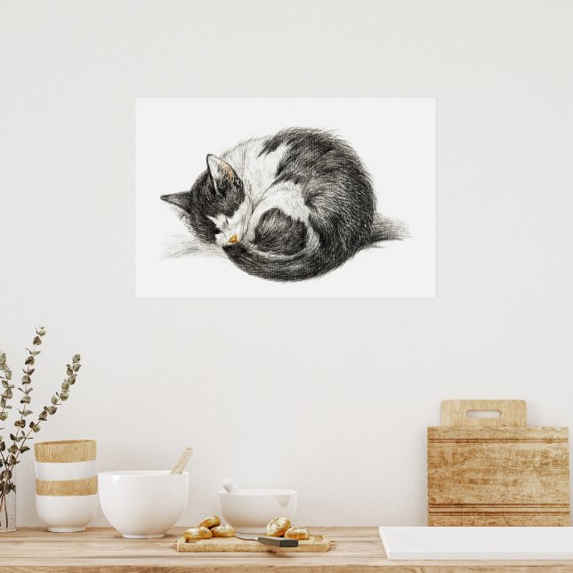 Rolled up lying sleeping cat (1825) poster (Kitchen)