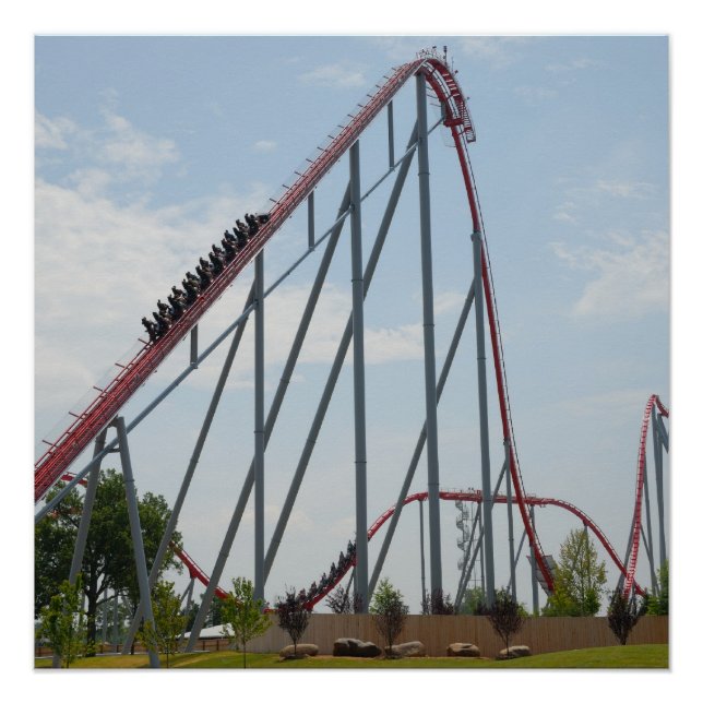 Roller Coaster Poster (Front)