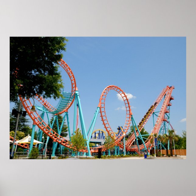 Roller Coaster Poster (Front)