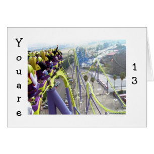 ROLLER COASTER THRILLS FOR THE **13** YEAR OLD