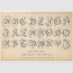 Rollerball Decoupage Paper