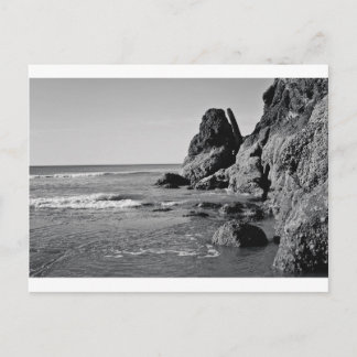 Rolling Beach Black and White Postcard