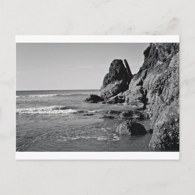 Rolling Beach Black and White Postcard (Front)