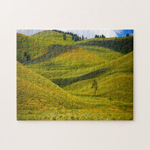 Rolling Hills of Montana. Jigsaw Puzzle