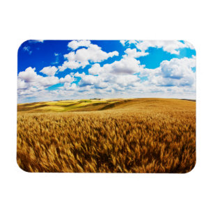 Rolling hills of ripe wheat magnet