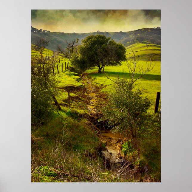Rolling Oaks Print (Front)