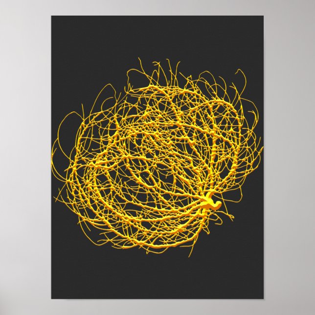 RollinGolden Tumbleweed Plant Original Art Poster (Front)