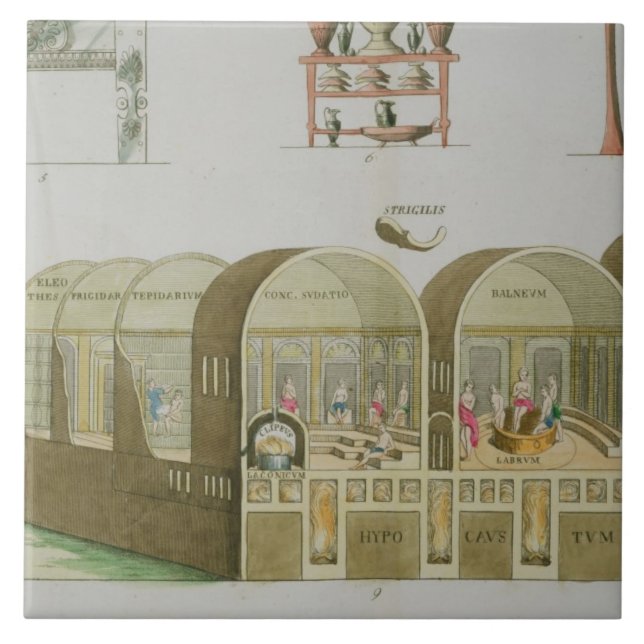 Roman Baths, plate from 'The History of the Nation Tile (Front)