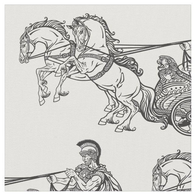 roman chariot fabric (Close Up)