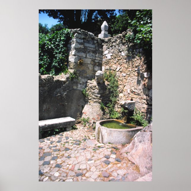 Roman fountain, Castello St. George, Alfama, Portu Poster (Front)