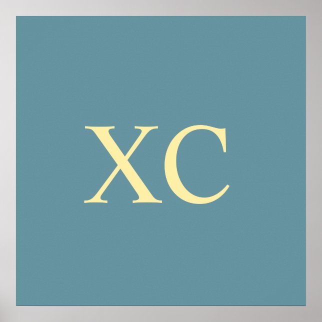 Roman Numeral 90 Poster (Front)